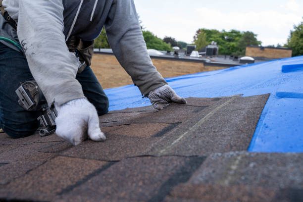 Roof Insulation in Nescopeck, PA